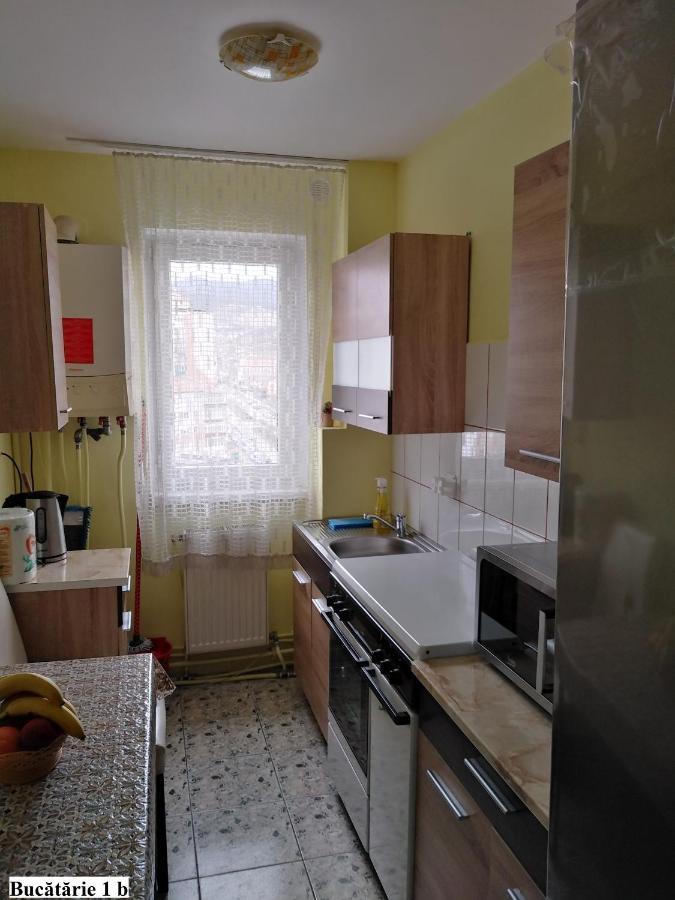 Apartament Salina Bulevard Alba Iulia Exterior foto